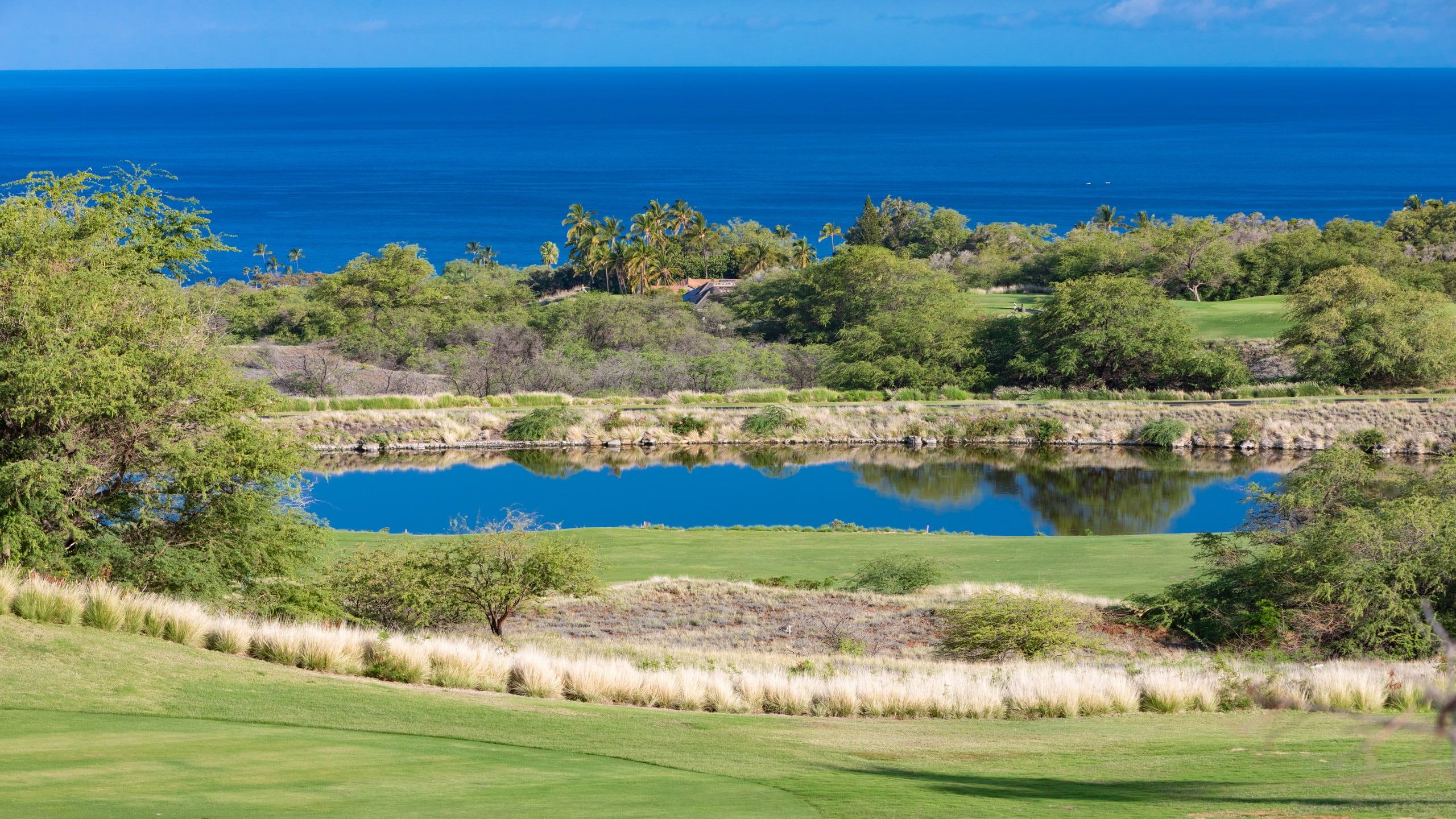 Home in Waimea · ★4.95 · 2 bedrooms · 4 beds · 2 baths - Photo 48