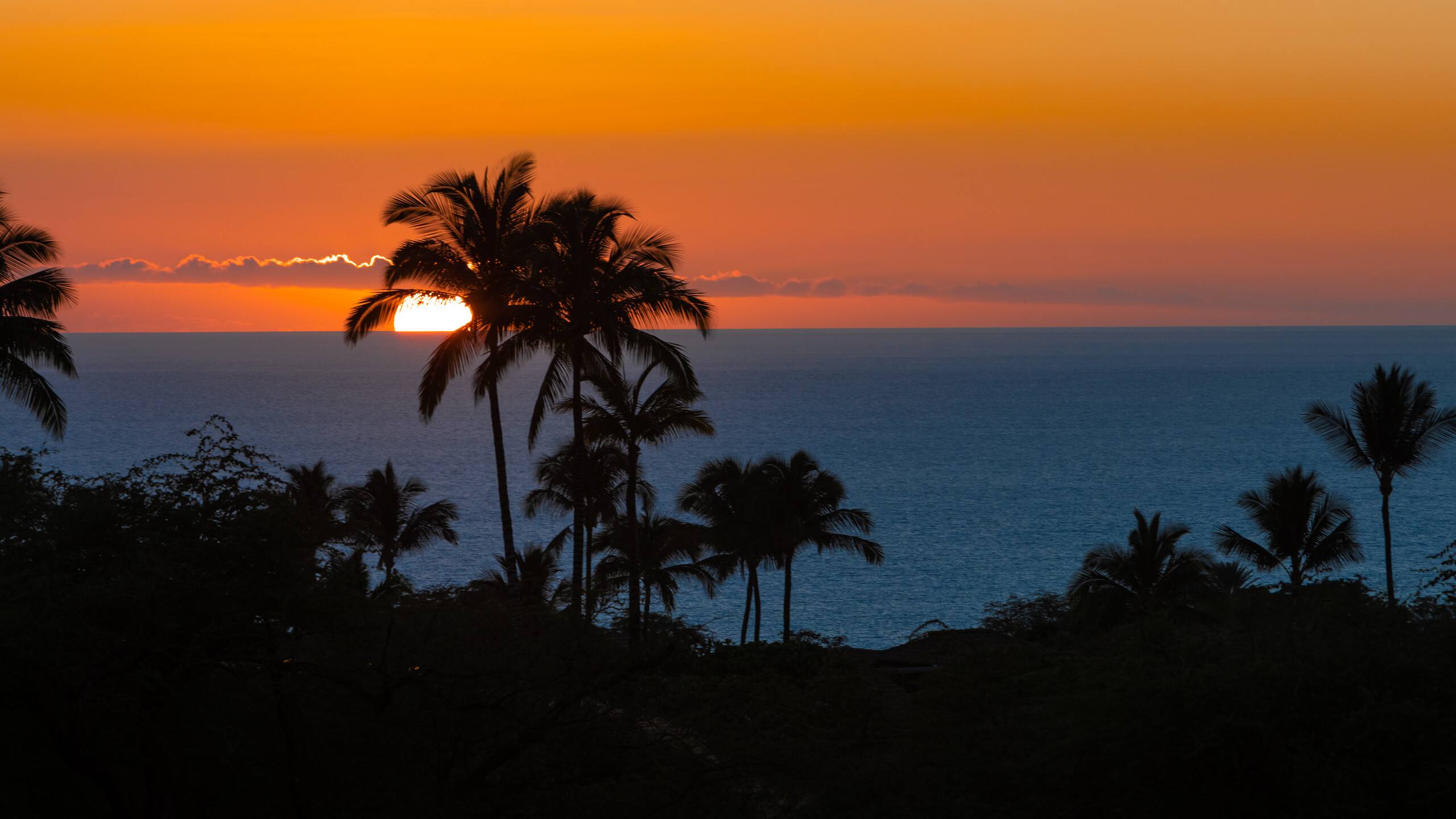 Home in Waimea · ★4.95 · 2 bedrooms · 4 beds · 2 baths - Photo 41