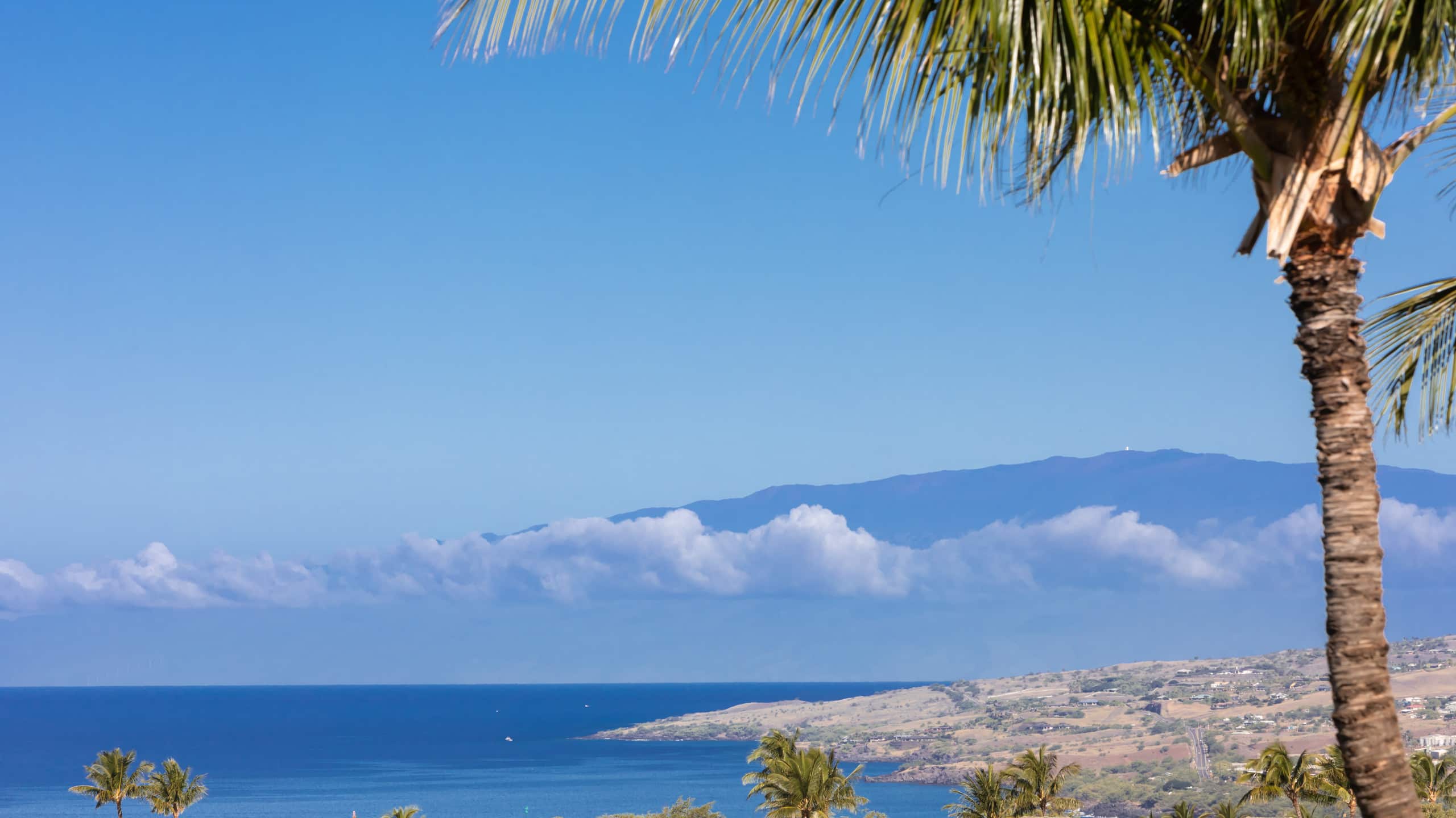 Home in Waimea · ★4.95 · 2 bedrooms · 4 beds · 2 baths - Photo 40