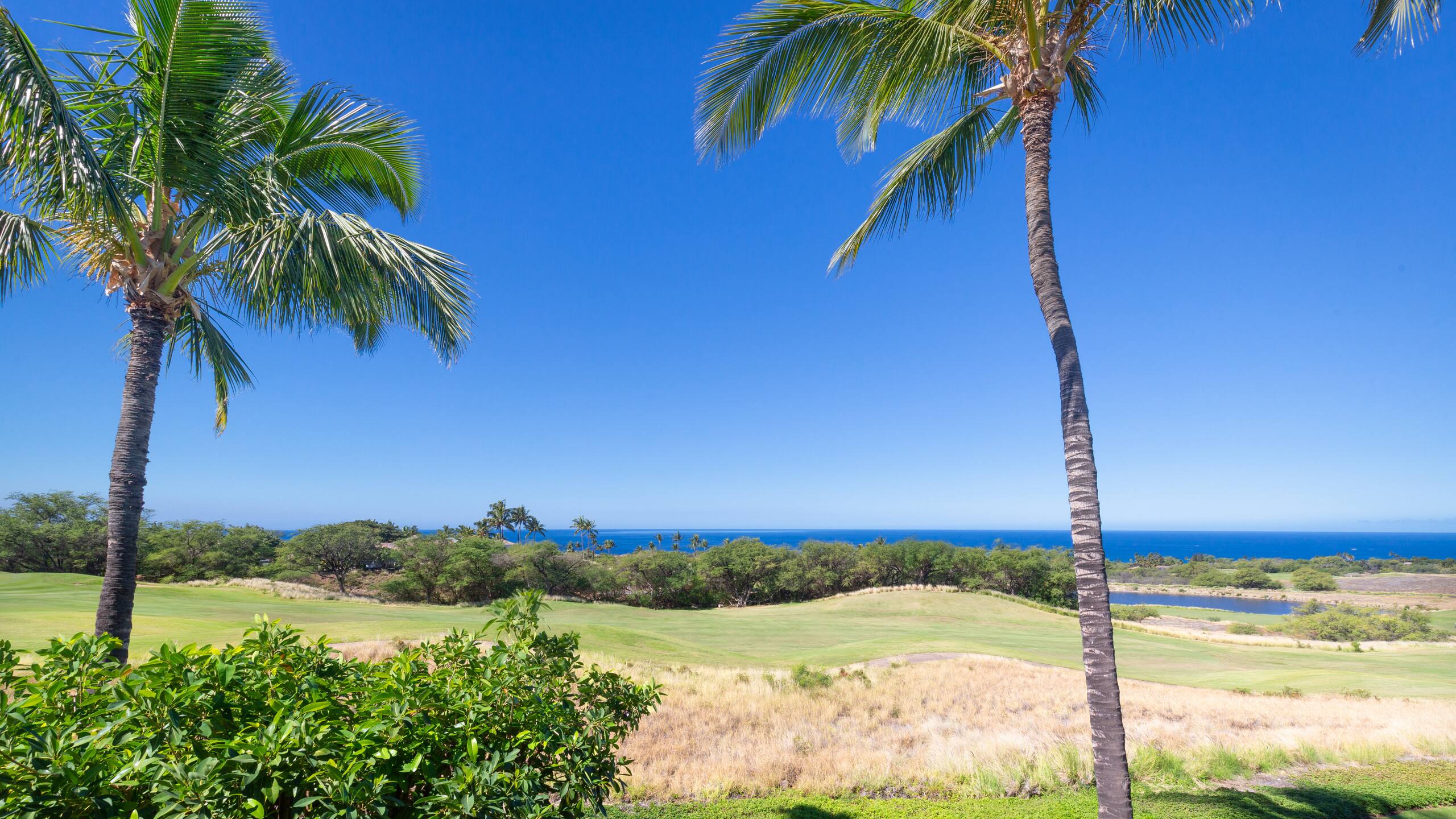Home in Waimea · ★4.95 · 2 bedrooms · 4 beds · 2 baths - Photo 52
