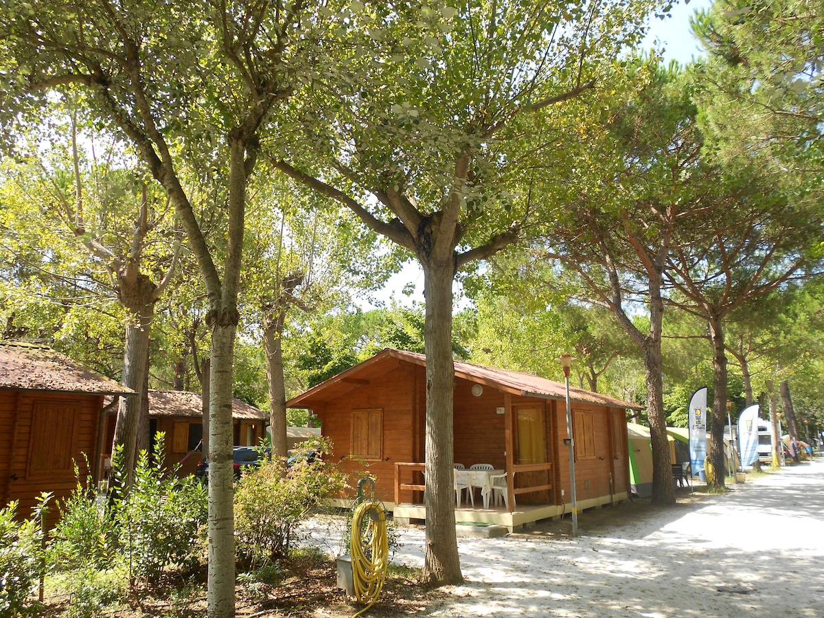 A wooden chalet is positioned among tall trees, with sunlight filtering through the leaves. The entrance features a small porch with seating arrangements. The surrounding area is landscaped with greenery and gravel pathways, maintaining a natural atmosphere.