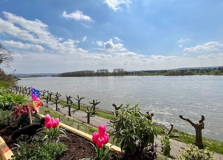 Chic apartment right on the Rhine