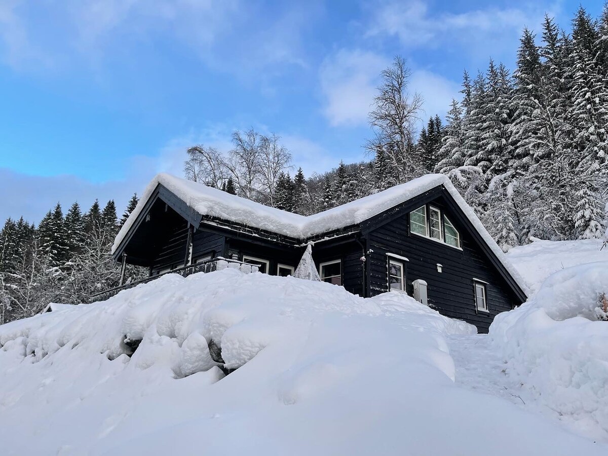 A modern black cabin is set against a winter landscape, surrounded by freshly fallen snow. The roof is blanketed with snow, and trees can be seen in the background under a bright blue sky.