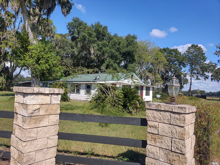 Reddick Holiday Rentals & Homes Florida, United States Airbnb