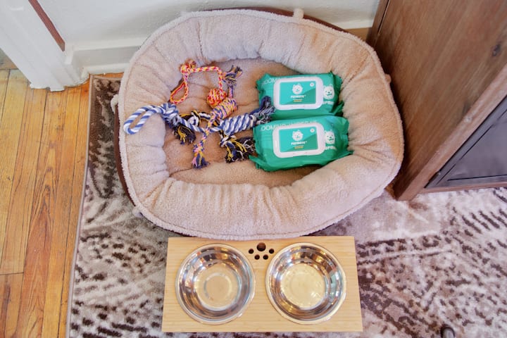 ¡Tus mascotas son bienvenidas aquí!