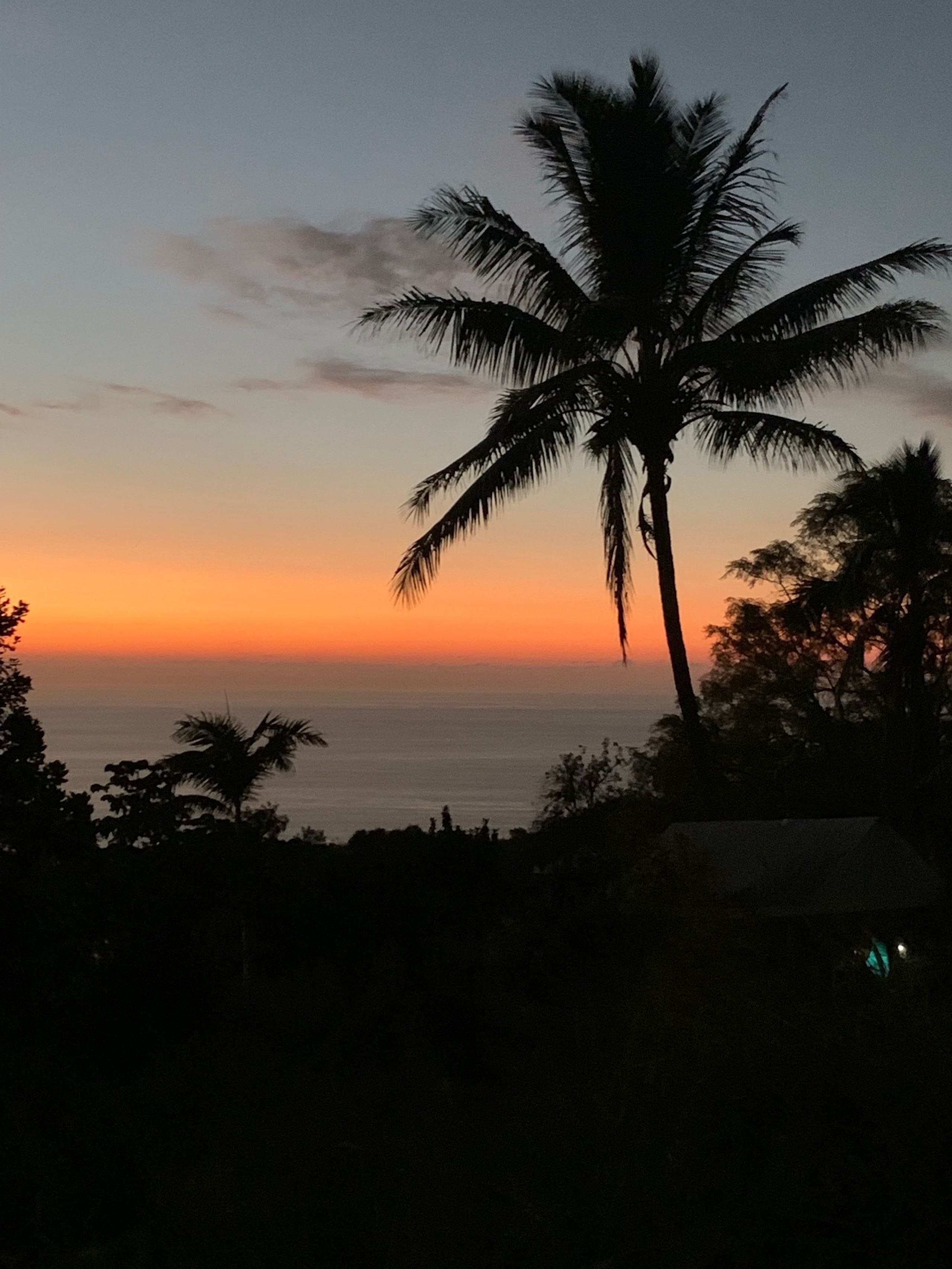 Place to stay in Kealakekua · ★4.95 · 1 bedroom · 1 bed · 1 bath - Photo 29