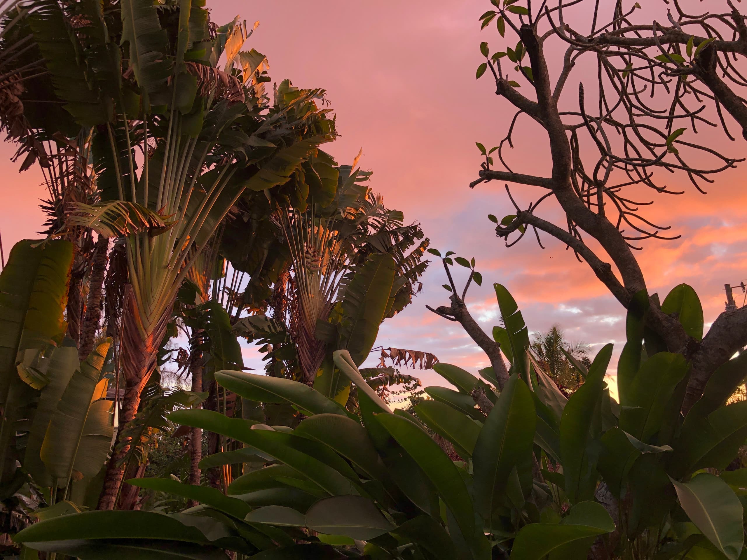 Place to stay in Kealakekua · ★4.95 · 1 bedroom · 1 bed · 1 bath - Photo 26