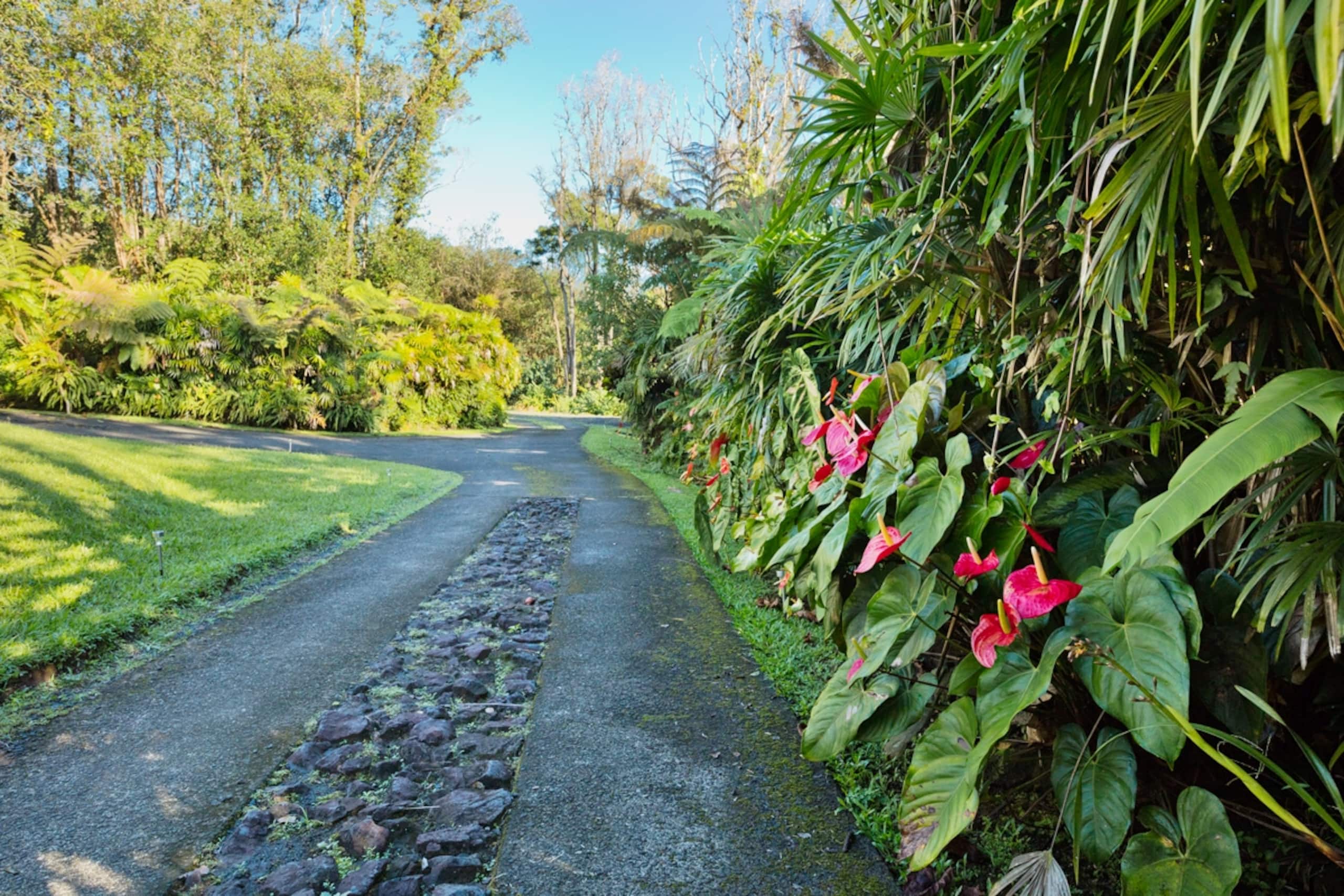 Home in Hilo · ★4.94 · 4 bedrooms · 7 beds · 2.5 private baths - Image 4
