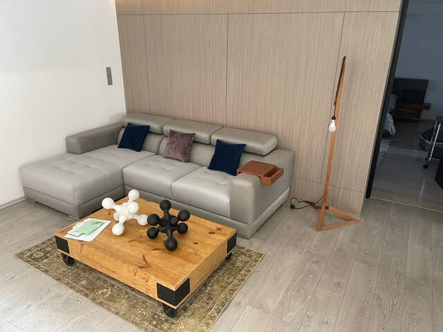 Entire Luxury penthouse with private rooftop gallery image 3