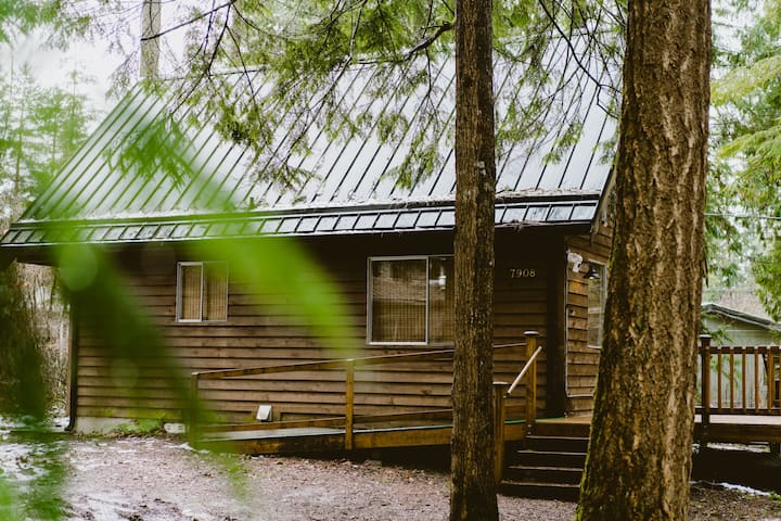 Little wolf cabin King bed dog friendly Mt Baker - Cabins for Rent in Maple  Falls, Washington, United States - Airbnb