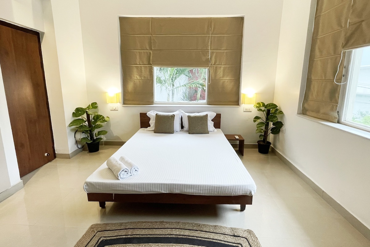 The well-lit bedroom features a spacious bed with soft linens and two decorative pillows. Two bedside lamps provide gentle illumination. Indoor plants are positioned near the windows, which are framed by light-colored curtains, creating a serene and calming environment.