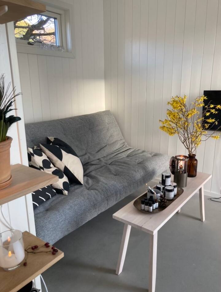 Living room with sofa bed