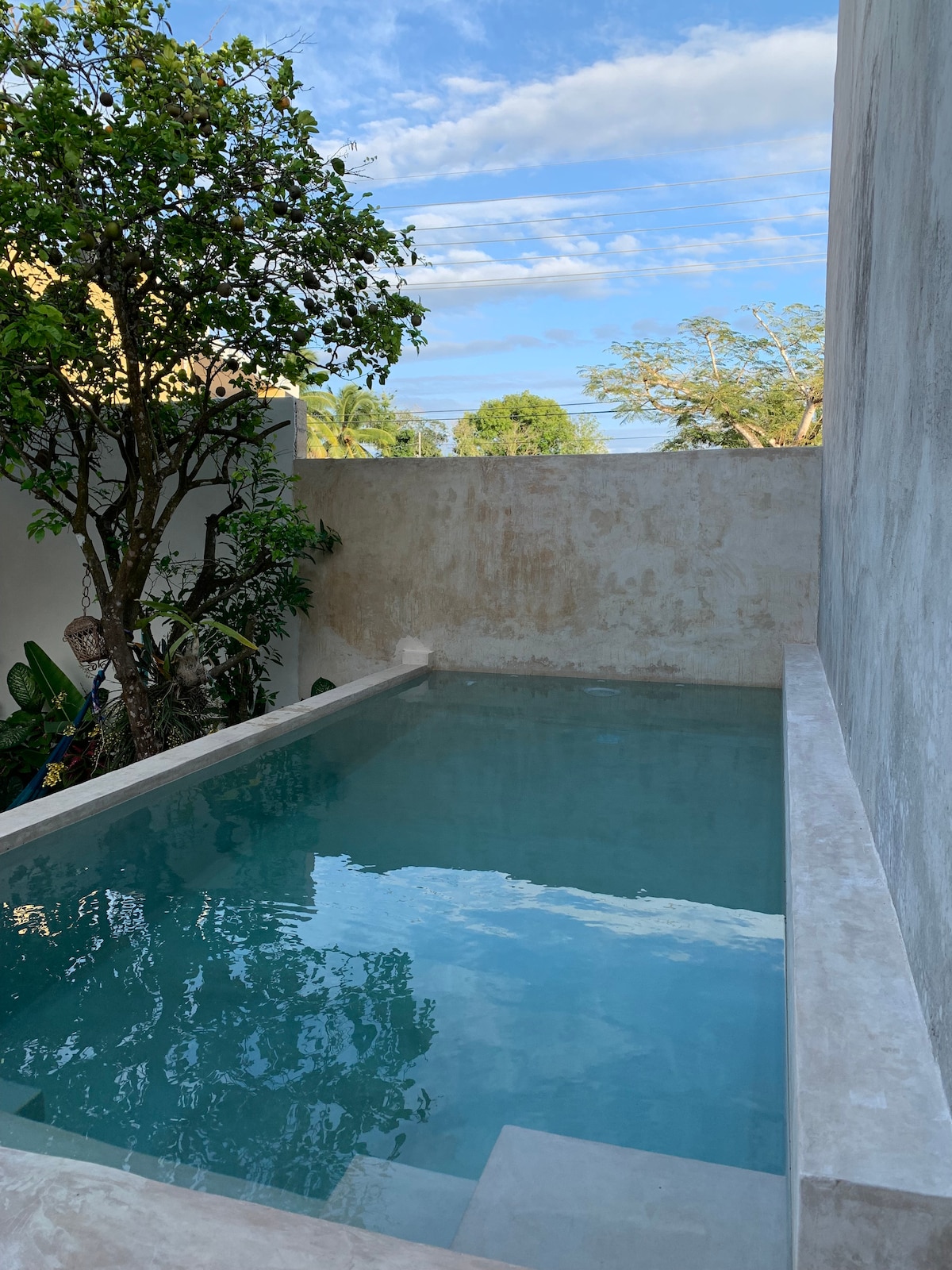 A serene swimming pool is framed by a textured concrete wall. Lush greenery is visible on one side, with a small tree casting subtle shadows on the water's surface. The clear blue water reflects the sky, creating a peaceful environment.