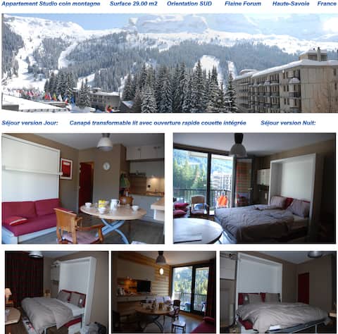 Successful Airbnb property: Studio Flaine Forum, very comfortable, 4 people, 29 m2 in Arâches La Frasse