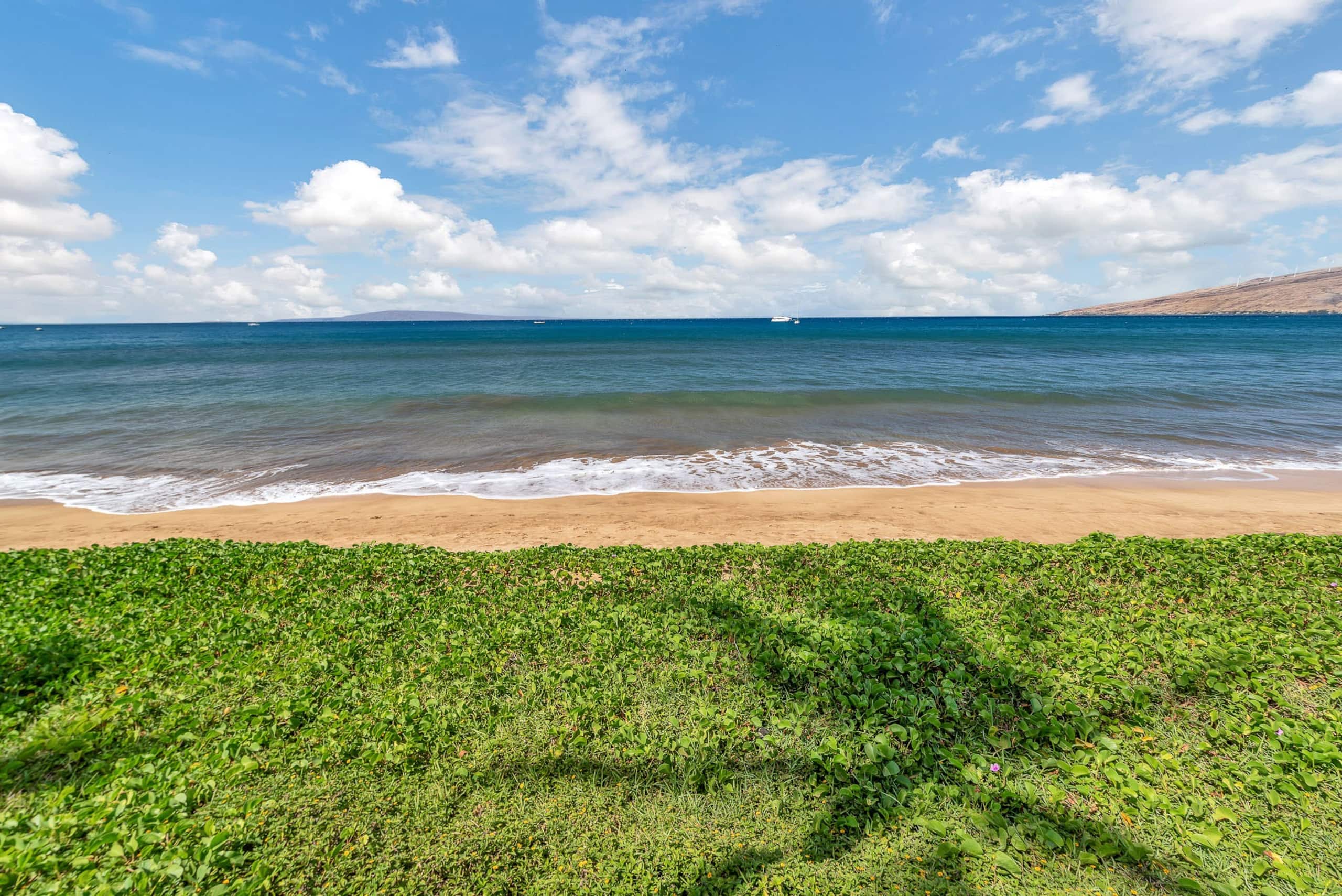 Condo in Kihei · ★4.84 · 1 bedroom · 2 beds · 1 private bath - Image 15