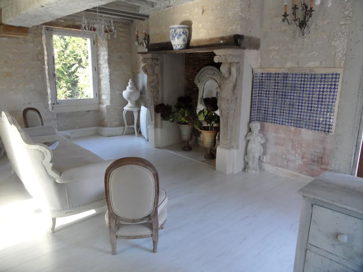 Gîte Du Figuier Du Saulce - Auxerre