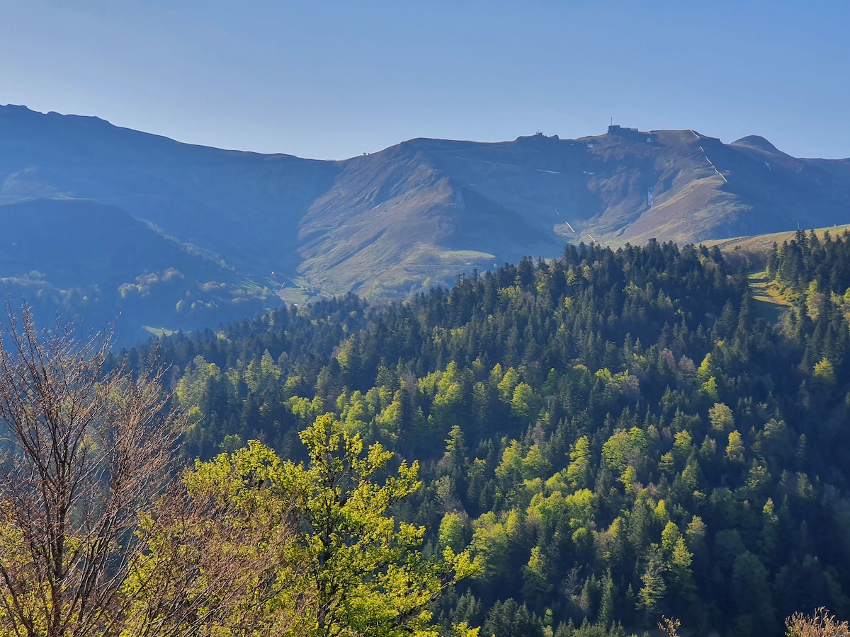 The image captures a panoramic view of rolling mountains adorned with lush greenery. The foreground features a vibrant mix of trees, while the rugged mountain backdrop extends towards a clear blue sky. The landscape reflects a serene and untouched natural environment.