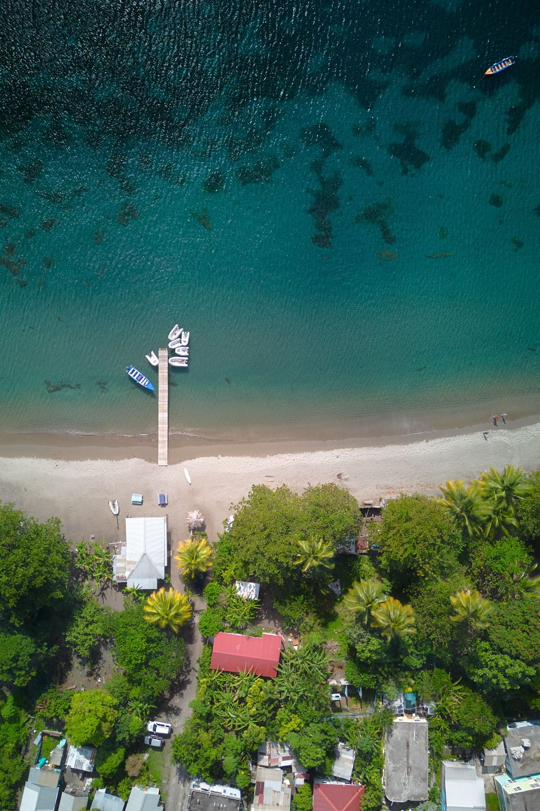 An aerial view displays the serene beach of Portsmouth, with a wooden dock extending into the clear turquoise waters. Lush greenery and colorful rooftops of nearby buildings are visible alongside the shoreline, with small boats anchored along the coast.