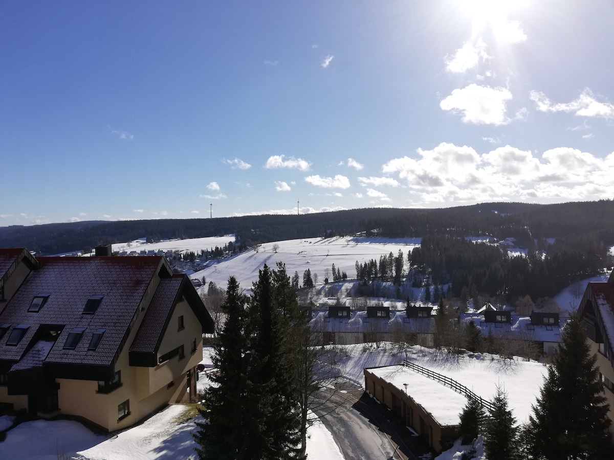 A scenic view captures a snowy landscape under a clear blue sky. Pine trees line the foreground, while rolling hills and a distant village are seen in the background, illuminated by sunlight. Snow blankets the ground, creating a serene winter ambiance.