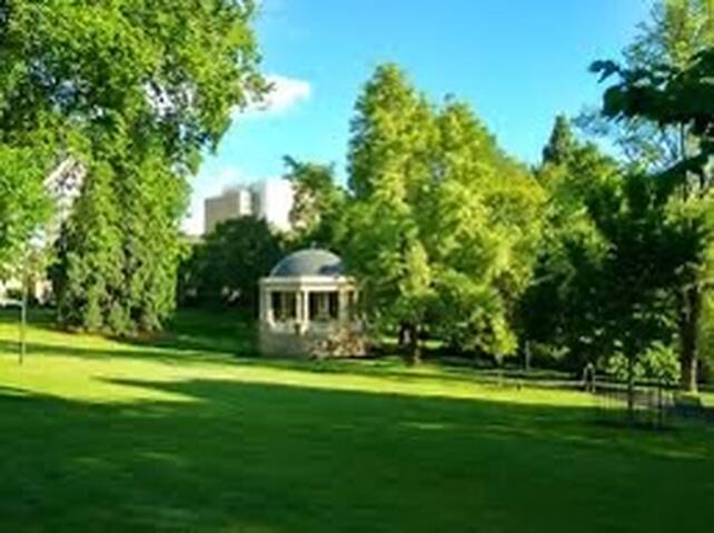 55 DAVEY Townhouse 1 Salamanca on your doorstep gallery image 2