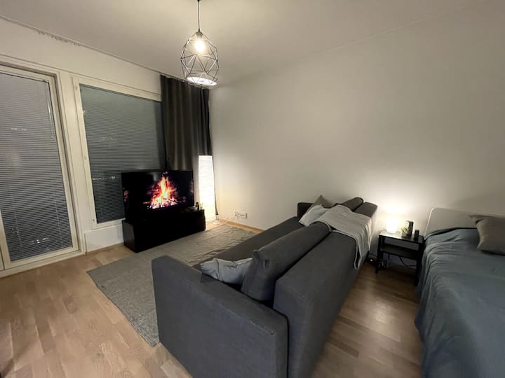 Modern new studio in city center Apartments for Rent in Turku