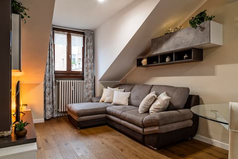 MOLE ANTONELLIANA - elegant apartment