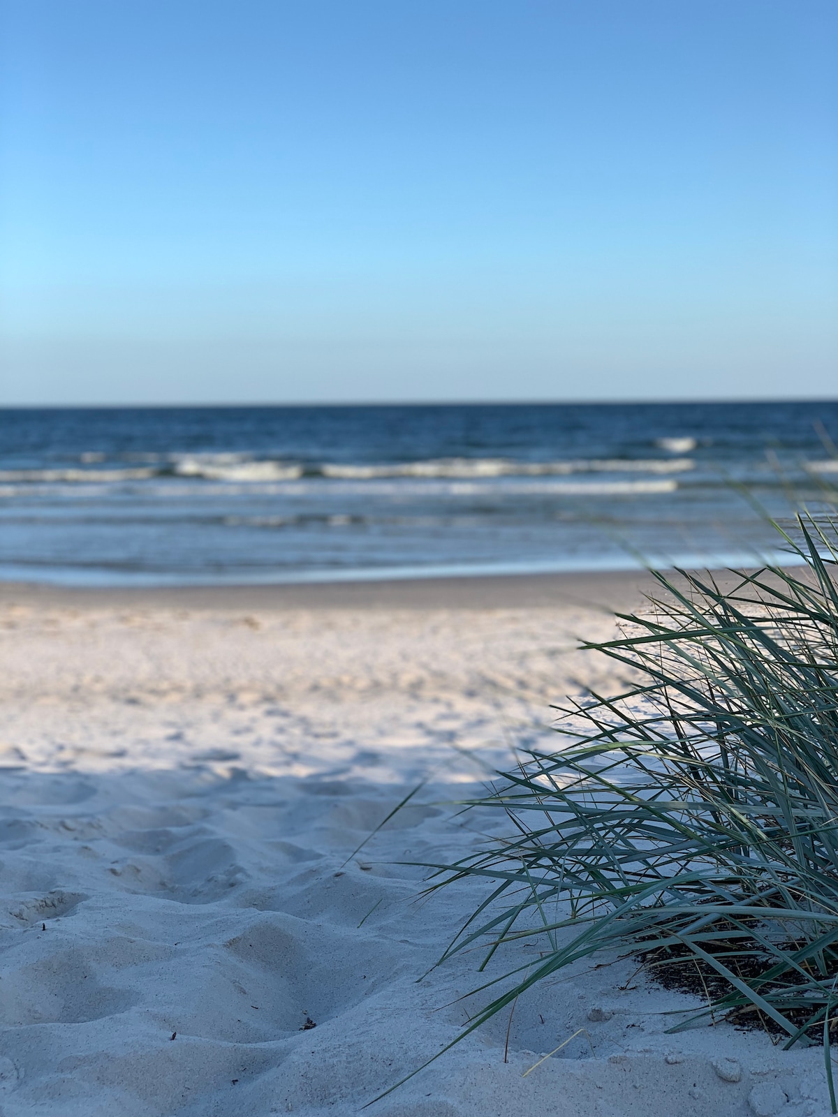 A sandy beach stretches towards the water, with gentle waves lapping at the shore. Soft grass emerges among the sand in the foreground, while the expansive blue sky meets the horizon, creating a serene coastal scene.