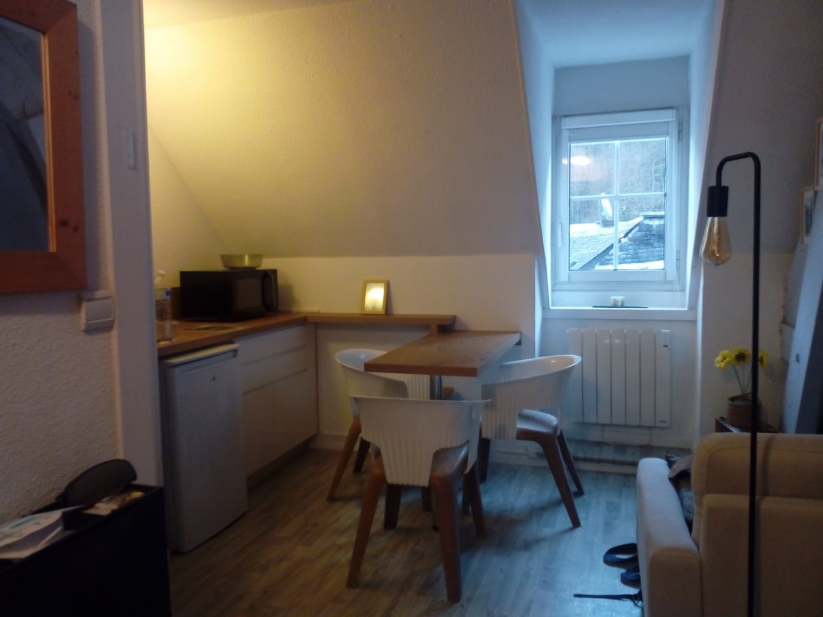 Proprietà Airbnb di successo: Cauterets center apartment for 2/3 people a Cauterets