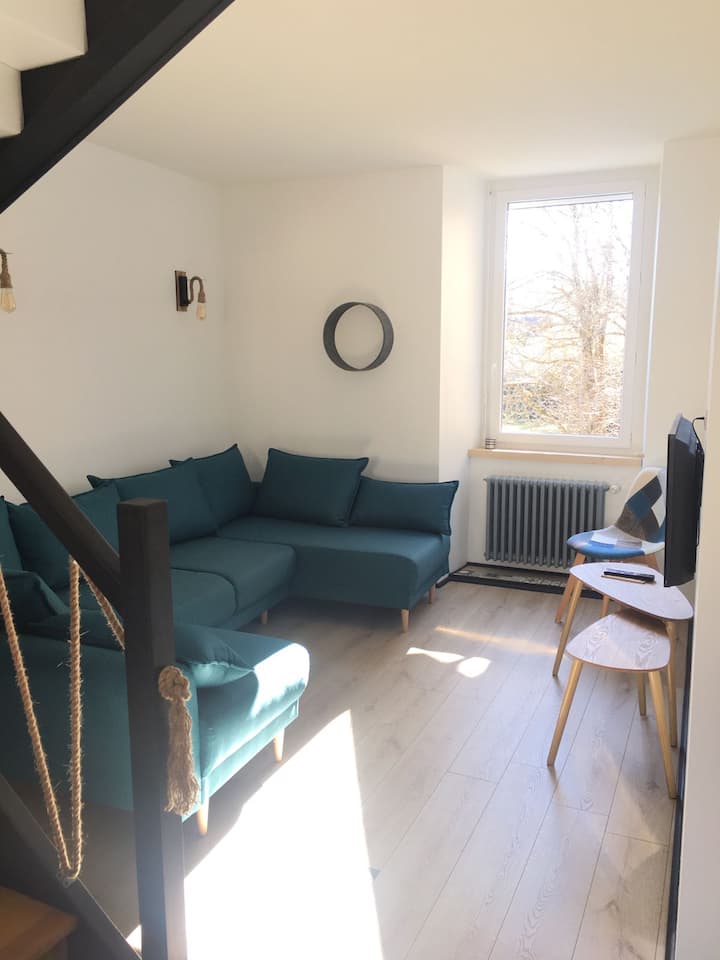 Le Magnolia Duplex 9 Places Avec Sauna Dans Bourg - Haute-Loire