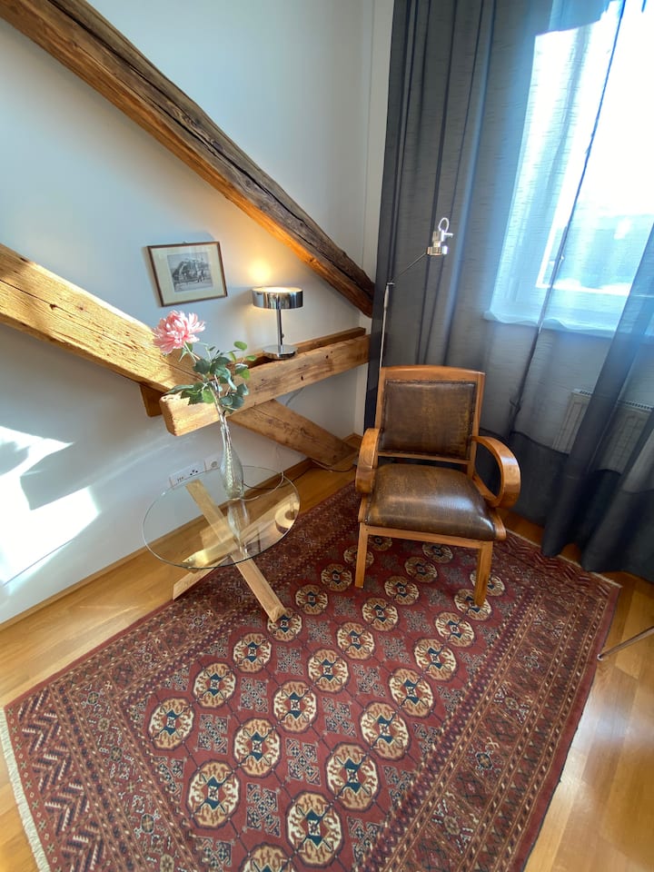 Ruhiges Serviced Apartment Im Zentrum Von Graz - Graz