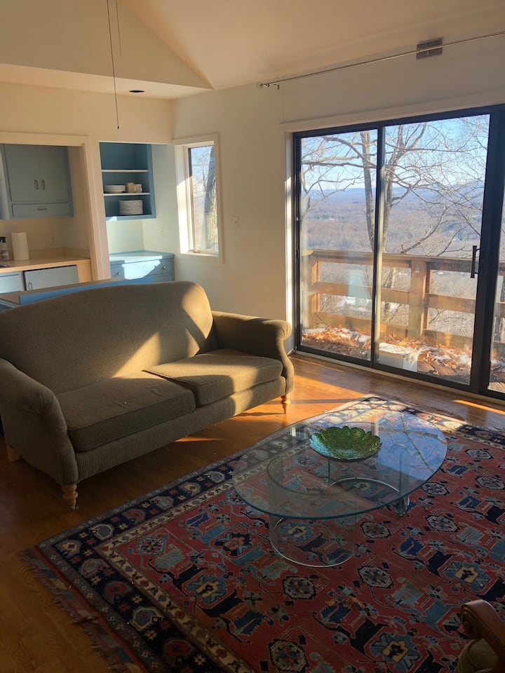 Lynchburg Mountain House with Amazing View! Cabins for Rent in