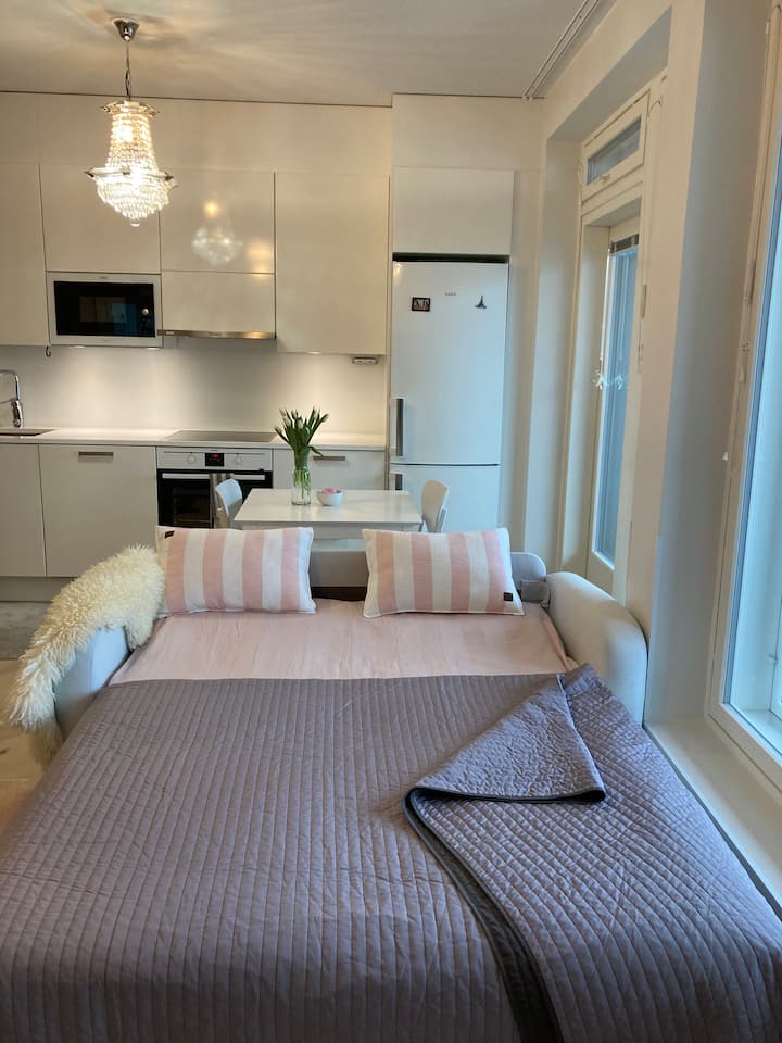 Helsinki Holiday Rentals & Homes Finland Airbnb