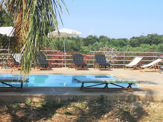 trullo dell’albero bianco gallery image 4