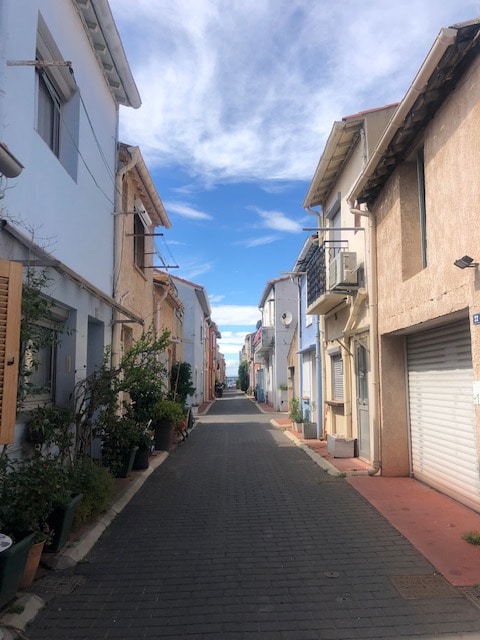 A narrow, charming street is flanked by pastel-colored buildings with potted plants lining the pathway. The sky is visible at the far end, showcasing a calm blue hue, and the cobblestone ground leads towards the horizon, creating a sense of depth and tranquility.