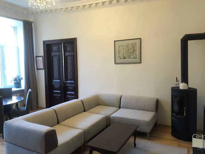 Luxury and silent apartment right in downtown! Apartments for Rent in