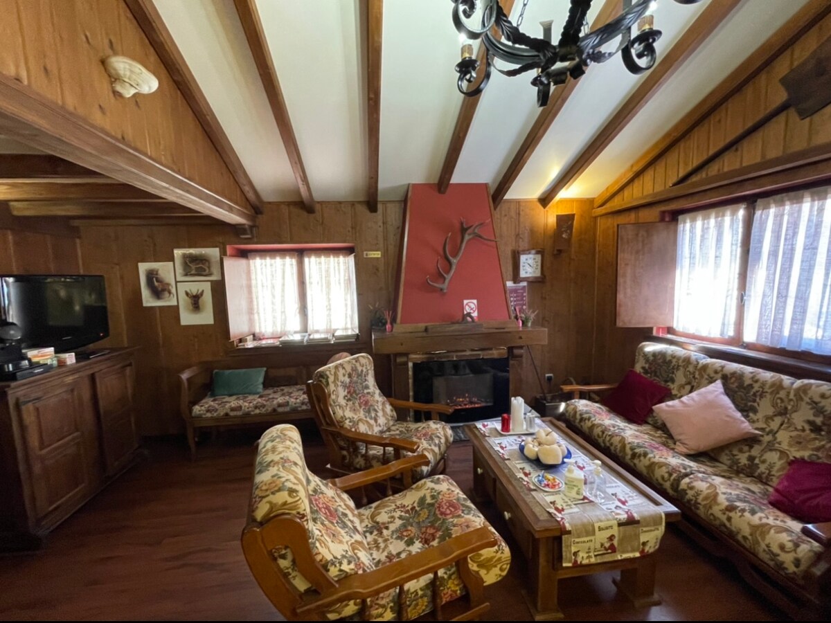 A warm living area is designed with wooden paneling and vaulted ceilings. Comfortable seating includes patterned sofas and sturdy chairs. Light filters through partially open curtains, illuminating a central fireplace and a television placed in a wooden cabinet.