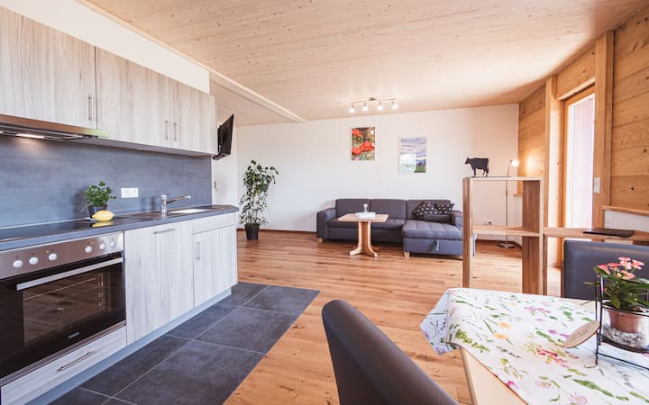 Neugebaute 85m² Ferienwohnung Mit Eigenem Balkon - Oberreute