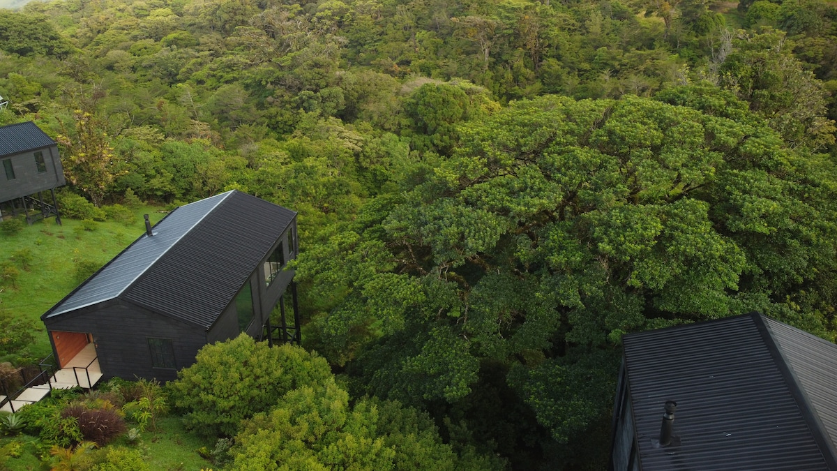 An aerial view captures three identical homes elevated among lush green trees, surrounded by dense foliage. The black roofs contrast with the vibrant greenery, offering a sense of tranquility and privacy amidst nature's beauty.