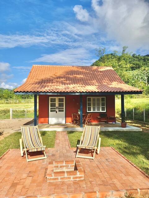 Canto do birdinho à toa -  Casa de Campo