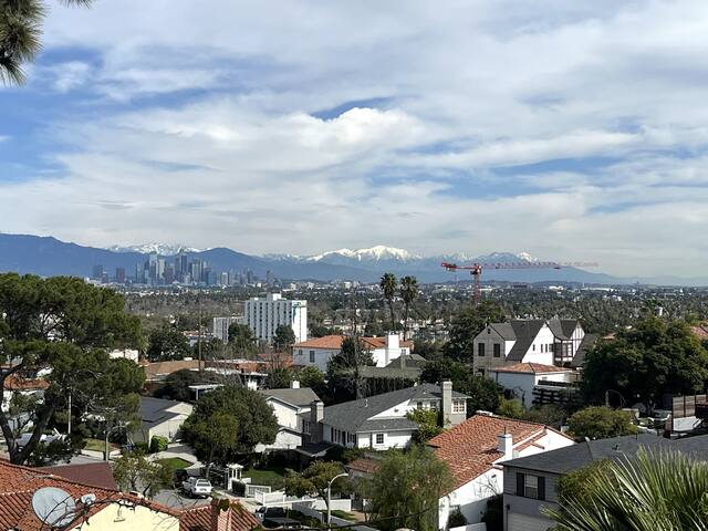 Los Angeles View Park Mid Century gallery image 4