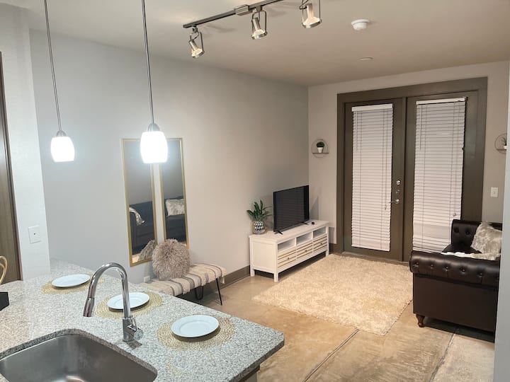 Energy Corridor, Houston Holiday Rentals & Homes Houston, TX Airbnb