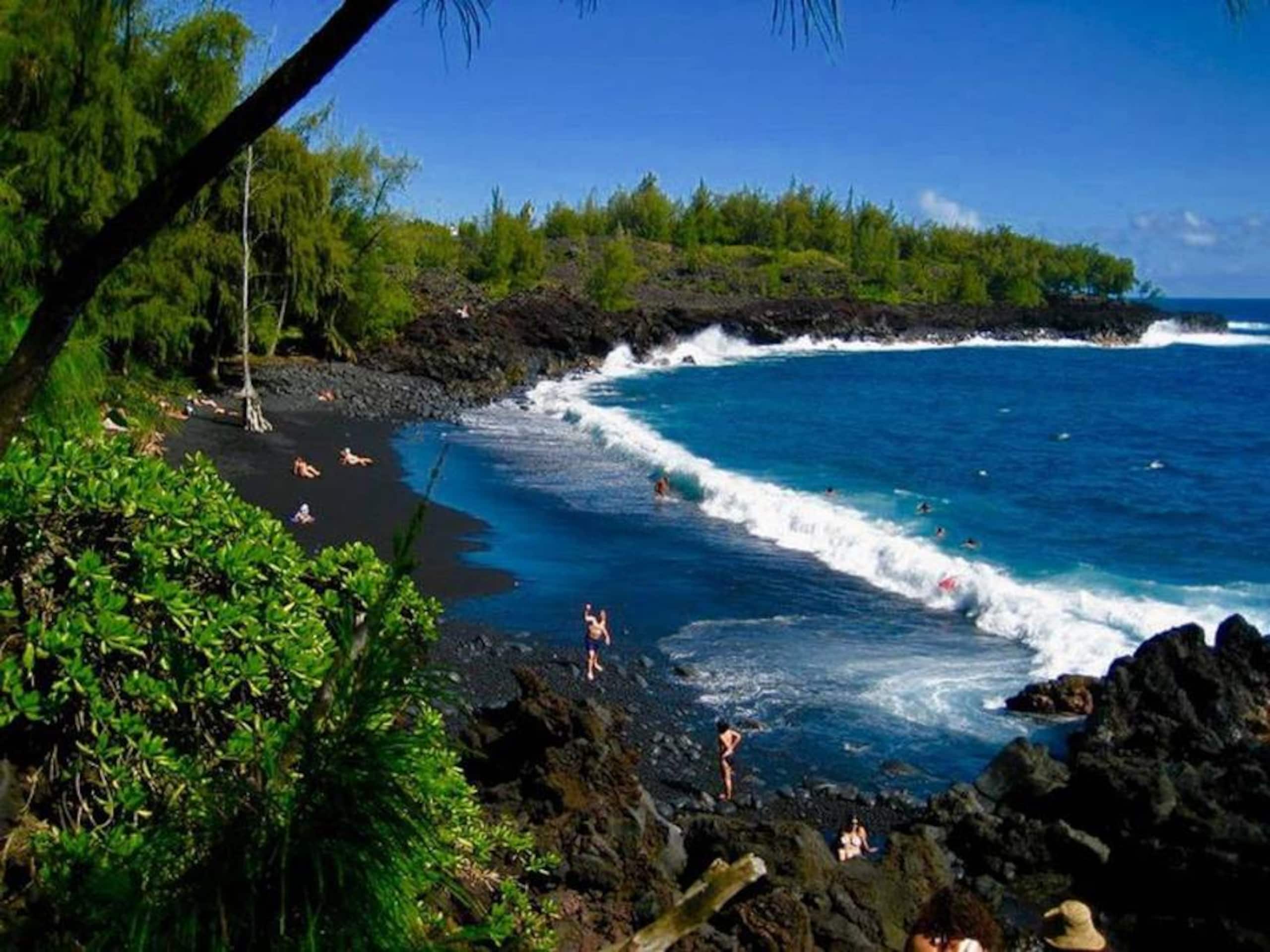 Pahoa Paradise Palms - Photo 43