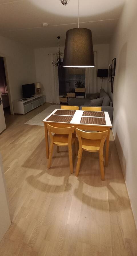 Good condition one-bedroom apartment with its own sauna!
