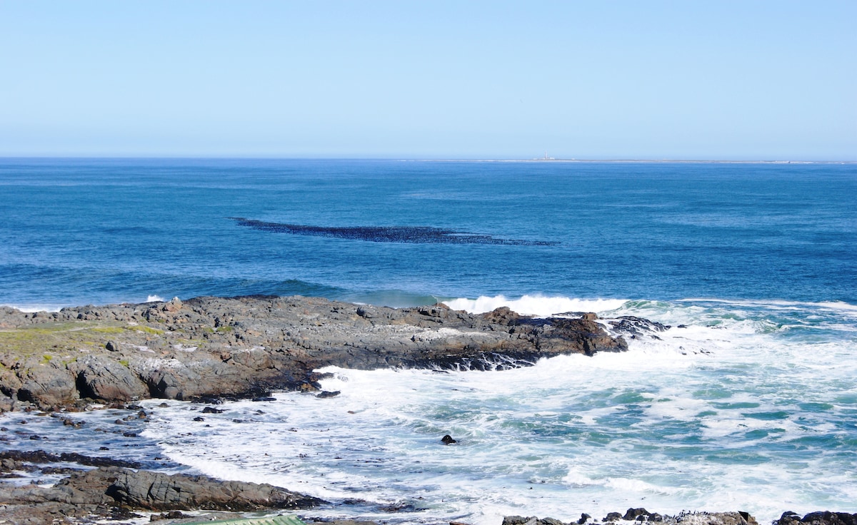 The image captures a serene coastal scene, featuring a rocky shoreline meeting the expansive ocean. Gentle waves crash against the rocks, while the calm blue water extends towards a clear sky. A subtle ripple marks the surface, indicating the presence of marine life.