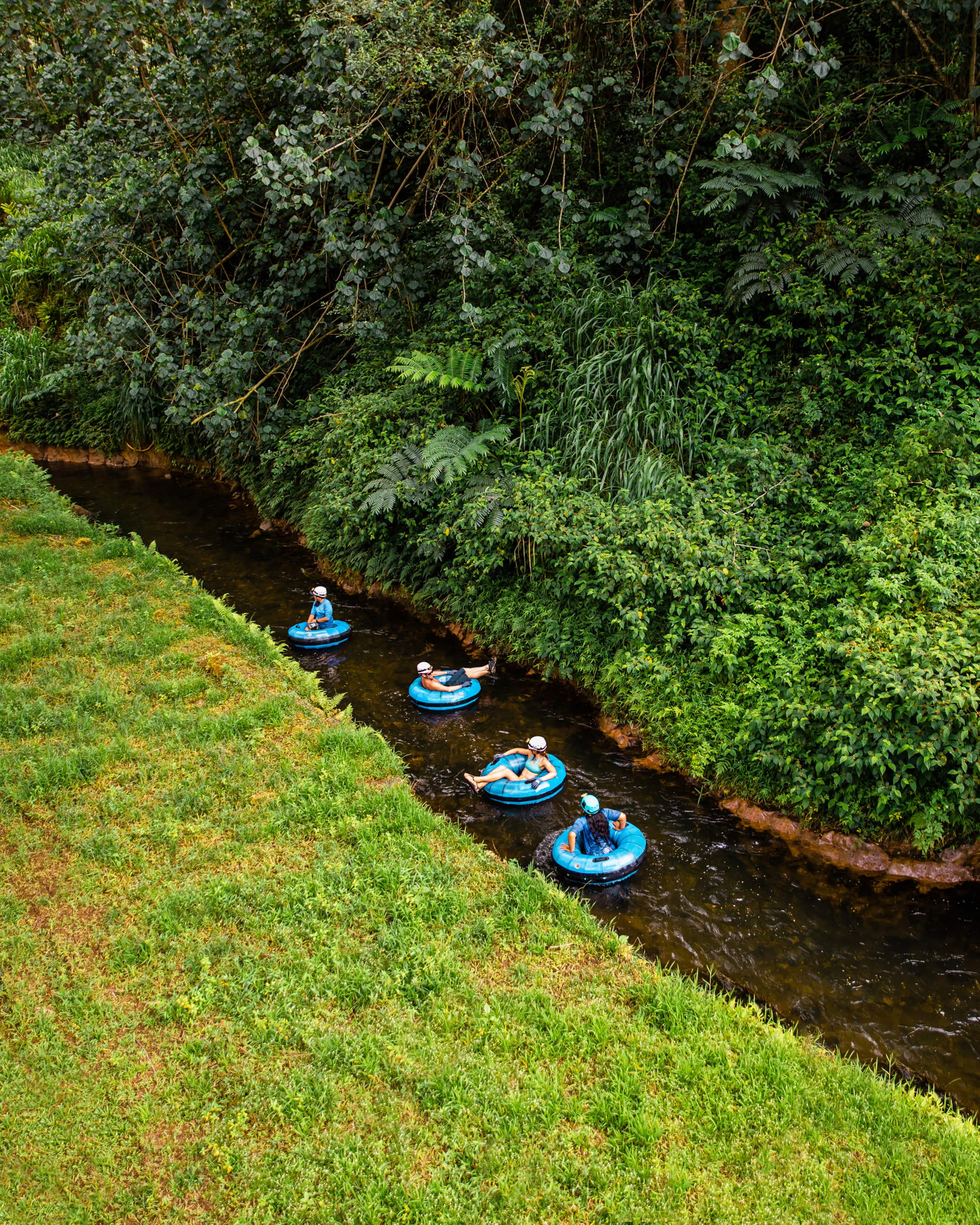 Condo in Koloa · ★4.84 · 1 bedroom · 2 beds · 1 private bath - Image 42
