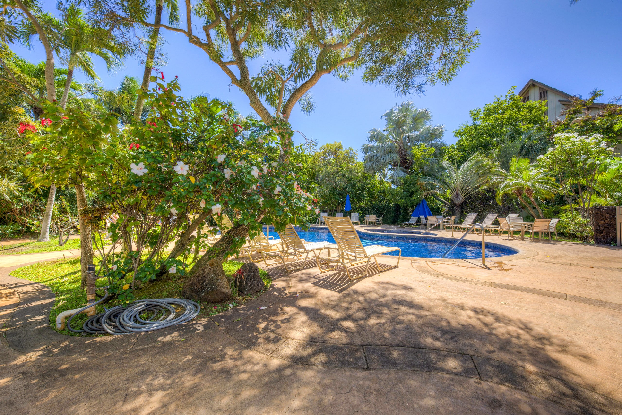 Condo in Koloa · ★4.84 · 1 bedroom · 2 beds · 1 private bath - Image 28