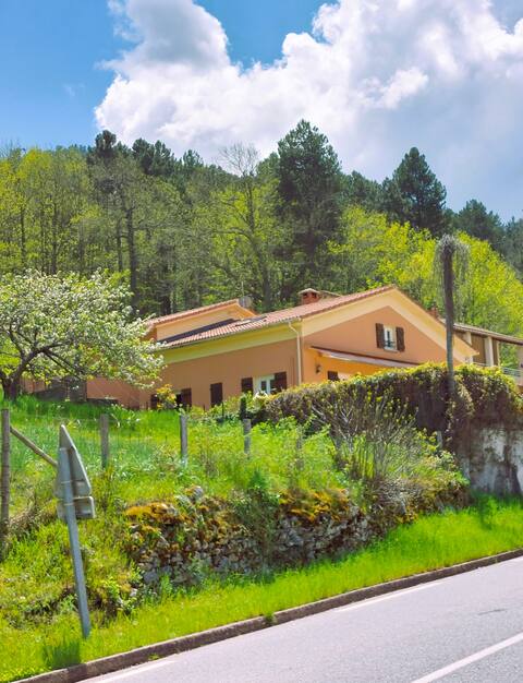 Beautiful spacious villa in the heart of Corsica