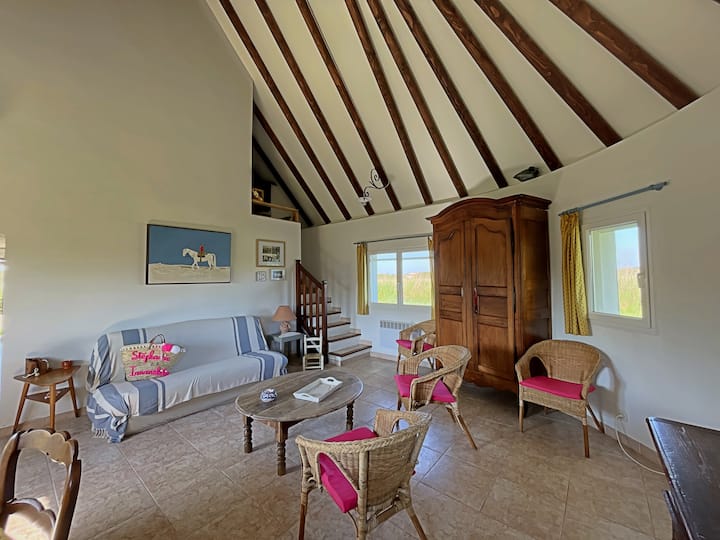 Mais Cabane De Dromar - Saintes-Maries-de-la-Mer