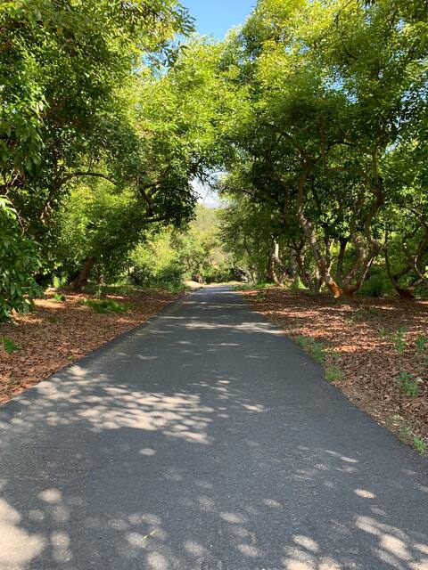 Delightful 2 bedroom  nestled in an avocado grove.