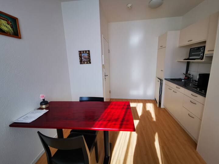 Thun Vacation Rentals & Homes Canton of Bern, Switzerland Airbnb